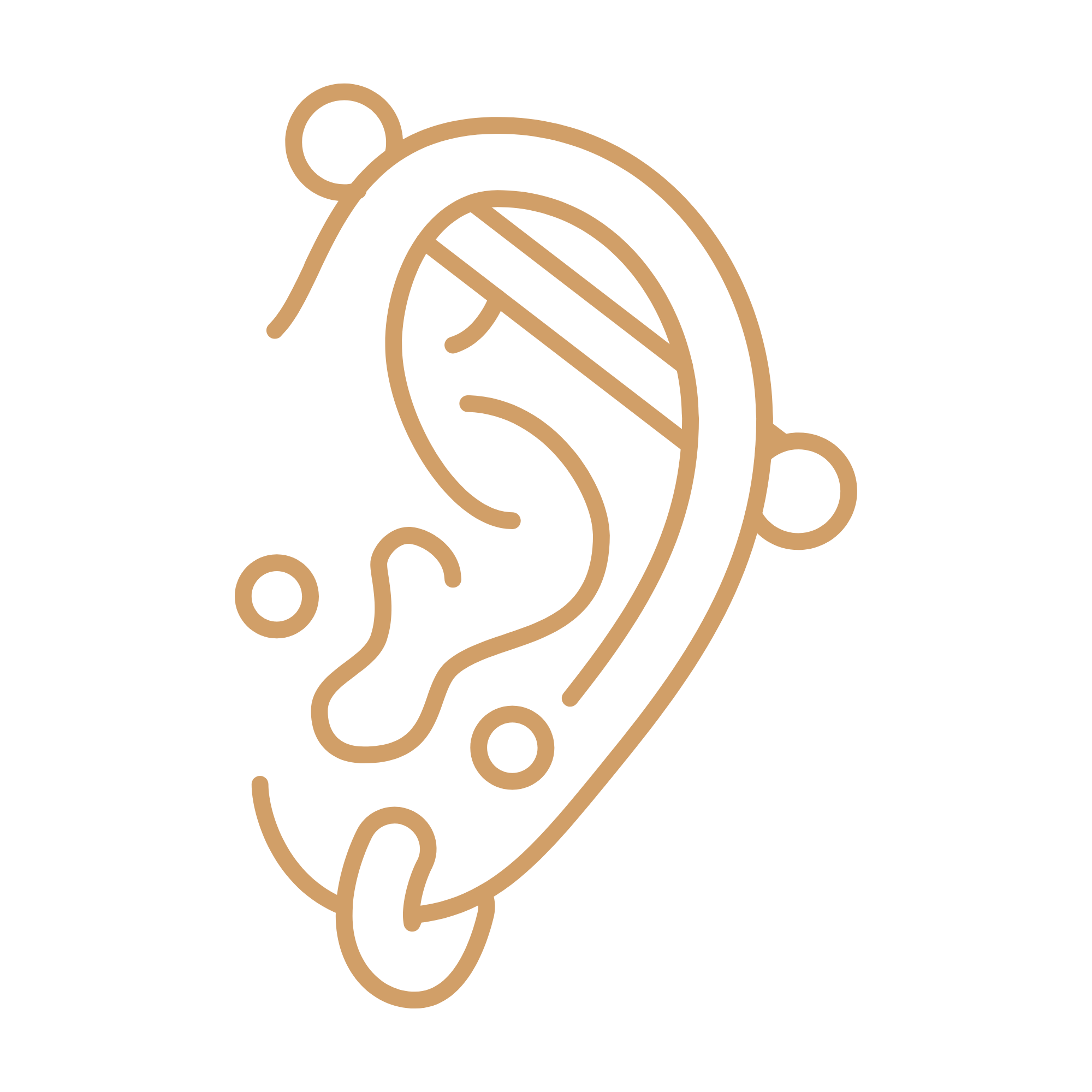 Piercings oreja estudio de tatuajes mitstura tattoo micropigmentación