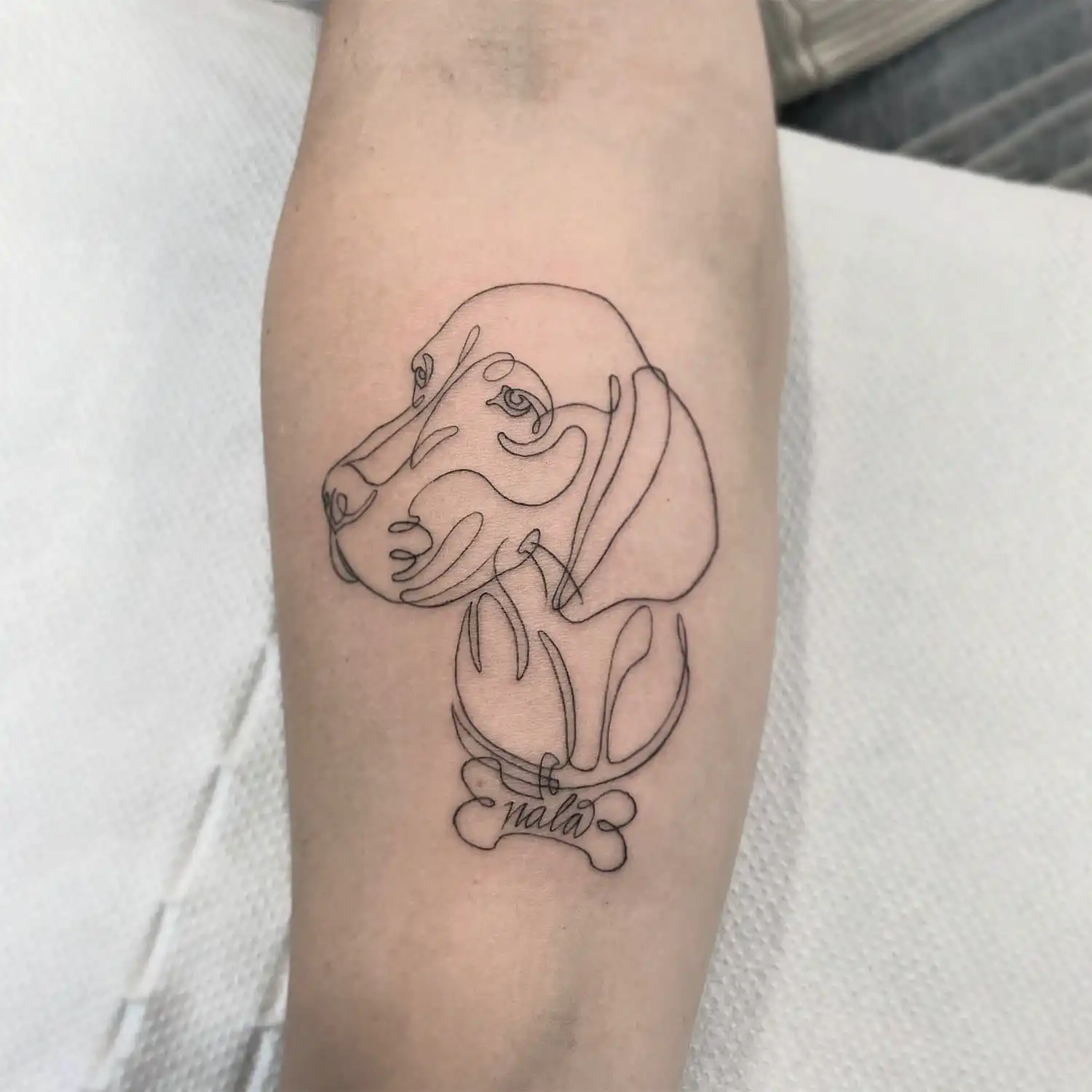 Estudio de tatuajes micropigmentación piercing despigmentación mistura profesionales tatuajes