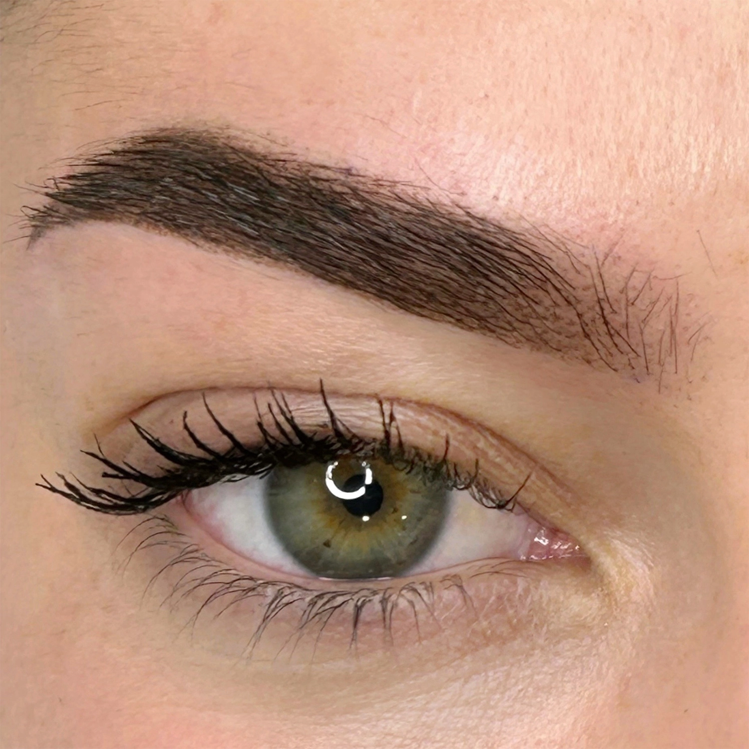 Micropigmentación en cejas diseño de ceja mistura tattoo 2