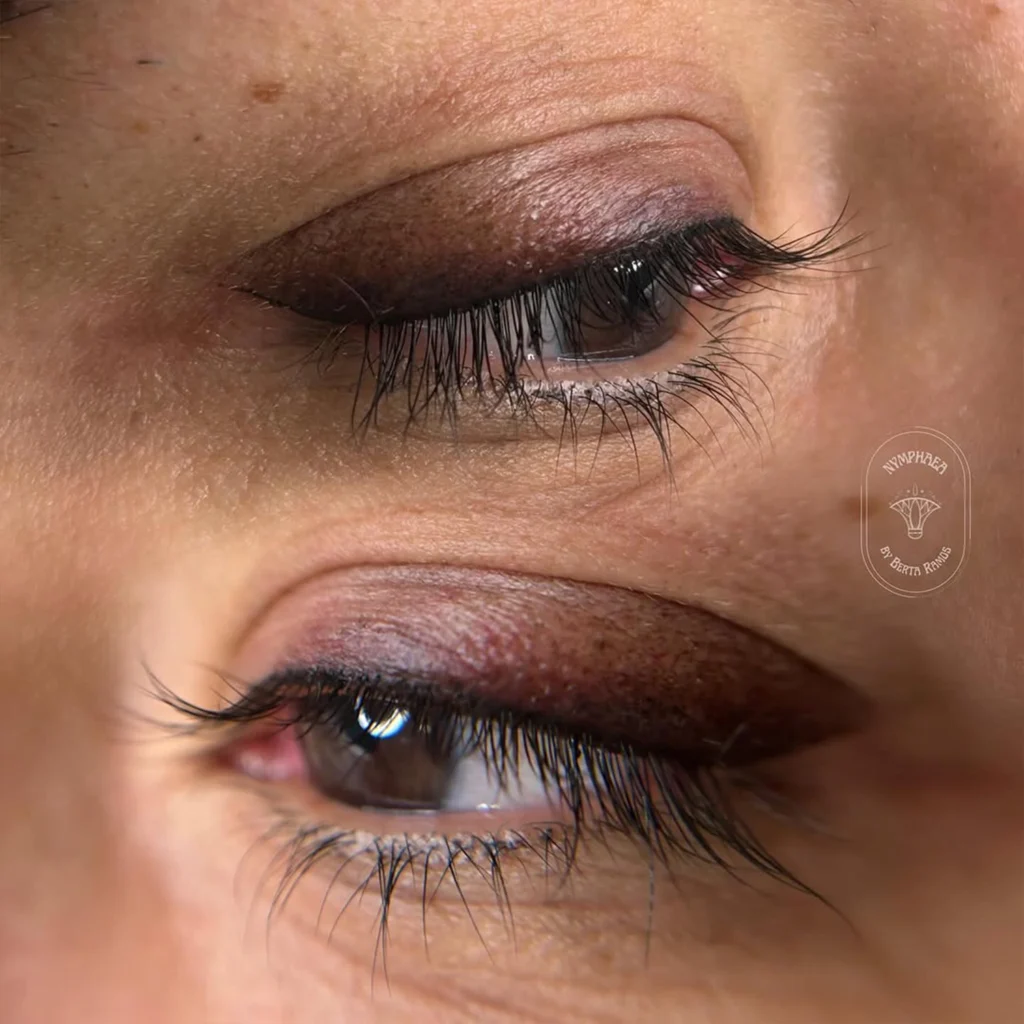Micropigmentación en ojos sombra de ojos mistura tattoo berta 2